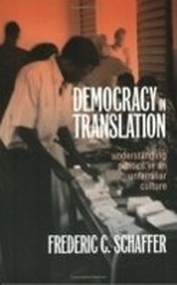 Enlarge image Cover: Democracy in Translation - Cornell University Press