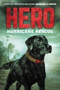 Cover: Hero: Hurricane Rescue - HarperCollins