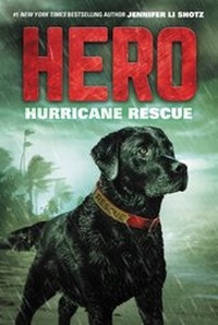 Enlarge image Cover: Hero: Hurricane Rescue - HarperCollins