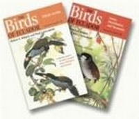 Abbildung von: The Birds of Ecuador - Comstock Publishing Associates