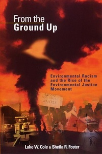 Enlarge image Cover: From the Ground Up - New York University Press