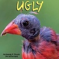 Cover: Ugly - Normandy Piccolo