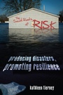 Cover: The Social Roots of Risk - Stanford Business Books,US