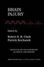 Cover: Brain Injury - Springer