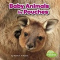 Cover: Baby Animals in Pouches - Capstone Press