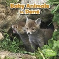 Cover: Baby Animals in Dens - Capstone Press