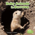 Cover: Baby Animals in Burrows - Capstone Press
