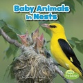 Cover: Baby Animals in Nests - Capstone Press