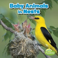 Enlarge image Cover: Baby Animals in Nests - Capstone Press