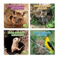Cover: Baby Animals and Their Homes - Capstone Press