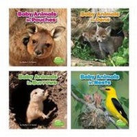 Enlarge image Cover: Baby Animals and Their Homes - Capstone Press