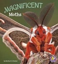 Cover: Magnificent Moths - Capstone Press