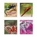 Cover: Bugs Are Beautiful! - Capstone Press