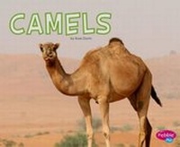 Enlarge image Cover: Camels - Capstone Press