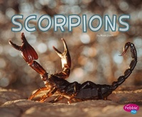 Enlarge image Cover: Scorpions - Capstone Press