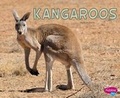 Cover: Kangaroos - Capstone Press
