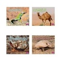 Cover: Meet Desert Animals - Capstone Press