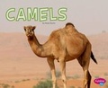 Cover: Camels - Capstone Press