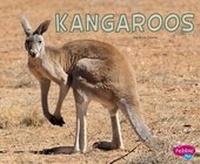 Enlarge image Cover: Kangaroos - Capstone Press
