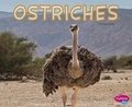 Cover: Ostriches - Capstone Press