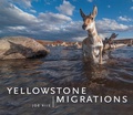 Cover: Yellowstone Migrations - Mountaineers Books