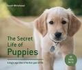 Cover: The Secret Life of Puppies - Pavilion