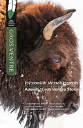 Cover: Aaniiih/Gros Ventre Stories - University of Regina Press