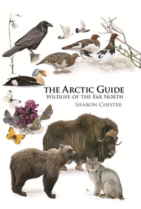 Abbildung von: The Arctic Guide - Princeton University Press