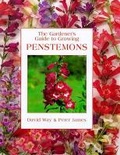 Cover: Gardener'S Guide - Penstemons - David & Charles
