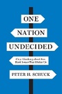 Cover: One Nation Undecided - Princeton University Press