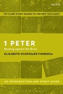 Cover: 1 Peter: An Introduction and Study Guide - T.& T.Clark Ltd