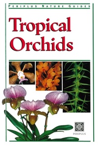 Abbildung von: Tropical Orchids of Southeast Asia - Periplus Editions