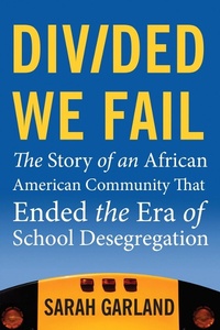 Enlarge image Cover: Divided We Fail - Beacon Press