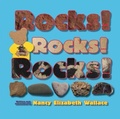 Cover: Rocks! Rocks! Rocks! - Two Lions