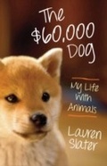 Cover: The $60,000 Dog - Beacon Press