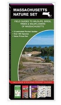 Abbildung von: Massachusetts Nature Set - Waterford Press Ltd