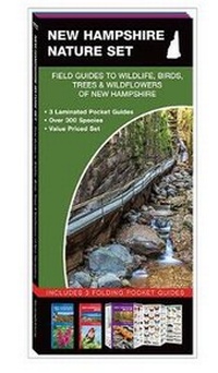 Abbildung von: New Hampshire Nature Set - Waterford Press Ltd