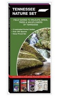 Abbildung von: Tennessee Nature Set - Waterford Press Ltd
