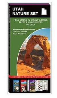 Abbildung von: Utah Nature Set - Waterford Press Ltd
