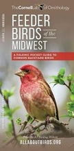 Cover: Feeder Birds of the Midwest - Waterford Press Ltd