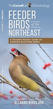 Cover: Feeder Birds of the Northeast - Waterford Press Ltd