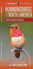 Cover: Hummingbirds of North America - Waterford Press Ltd