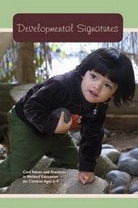 Enlarge image Cover: Developmental Signatures - Waldorf Publications
