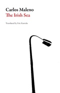 Cover: The Irish Sea - Dalkey Archive Press