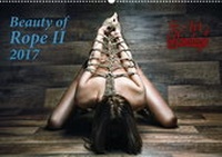 Abbildung von: Fine Art of Bondage - Beauty of Rope II - Rod Meier Media