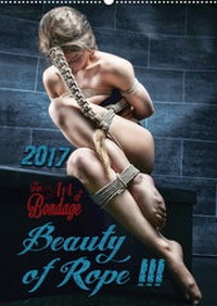 Abbildung von: Fine Art of Bondage - Beauty of Rope III - Rod Meier Media