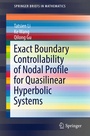 Cover: Exact Boundary Controllability of Nodal Profile for Quasilinear Hyperbolic Systems - Springer