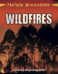 Enlarge image Cover: Nature Unleashed: Wildfires - Franklin Watts Ltd