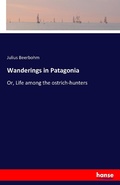 Cover: Wanderings in Patagonia - Hansebooks