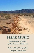 Cover: Bleak Music - Blue Horse Press